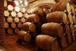 bodegas bodegas